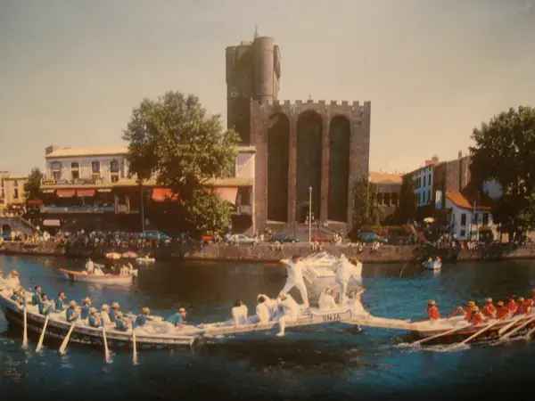 Monte Escalier Assistance Installateur Monte escalier Agde