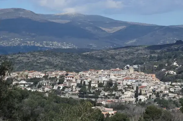 Monte Escalier Assistance Installateur Monte escalier Biot