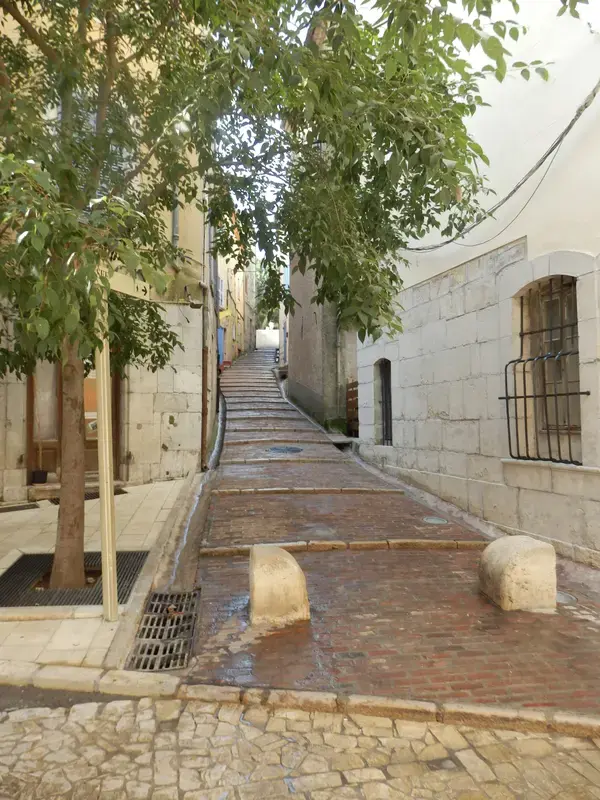 Monte Escalier Assistance Installateur Monte escalier Brignoles