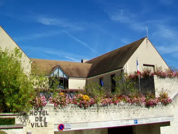 Monte Escalier Assistance Installateur Monte escalier Courdimanche