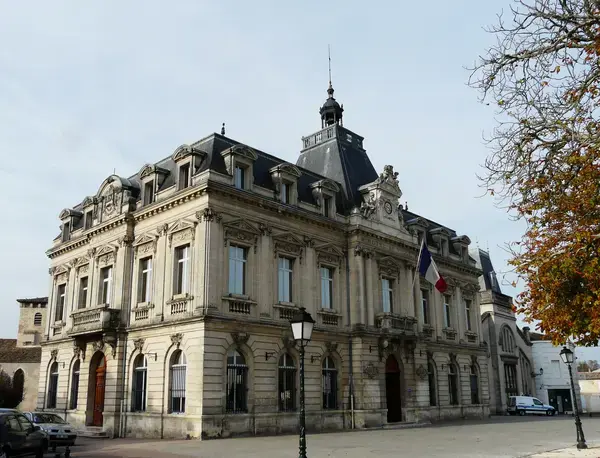 Monte Escalier Assistance Installateur Monte escalier Coutras