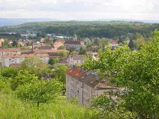 Monte Escalier Assistance Installateur Monte escalier Danjoutin