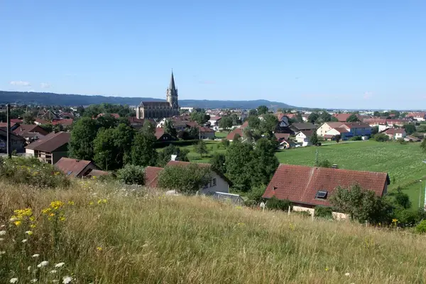 Monte Escalier Assistance Installateur Monte escalier Doubs