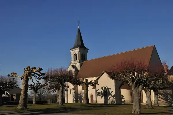Monte Escalier Assistance Installateur Monte escalier Fougerolles