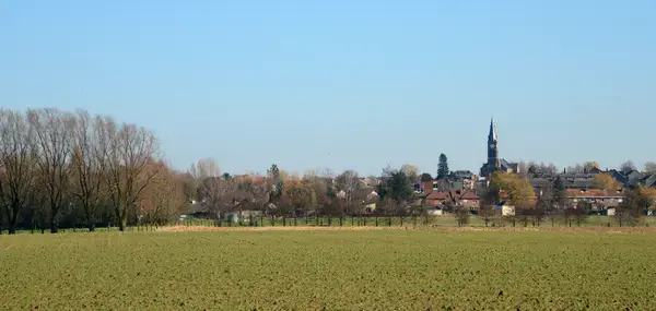 Monte Escalier Assistance Installateur Monte escalier Halluin