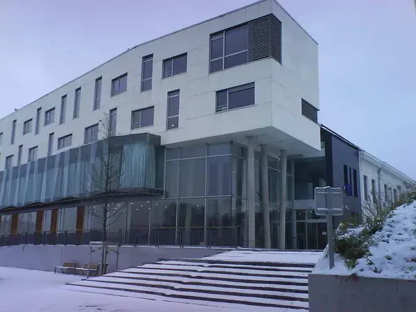 Monte Escalier Assistance Installateur Monte escalier Haubourdin