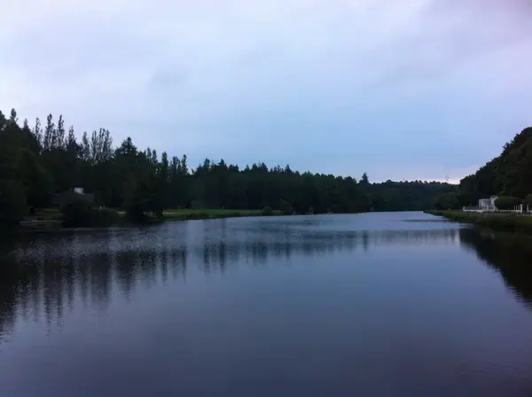 Monte Escalier Assistance Installateur Monte escalier Inzinzac-Lochrist
