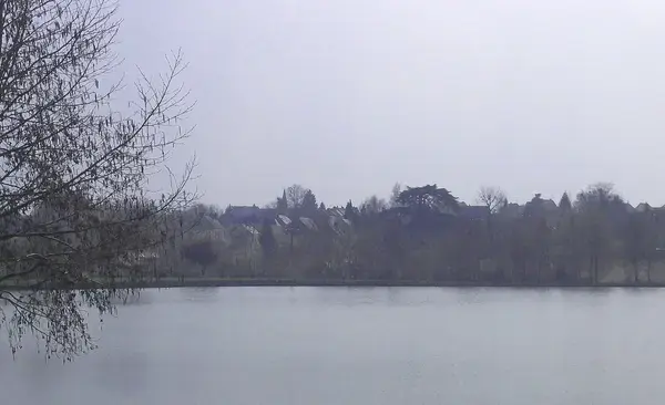 Monte Escalier Assistance Installateur Monte escalier La Bazoge