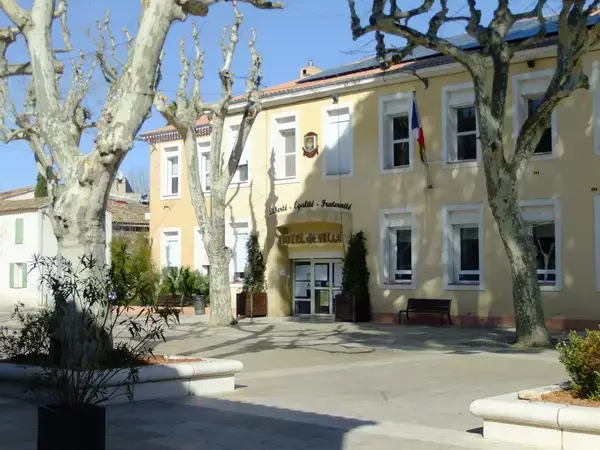 Monte Escalier Assistance Installateur Monte escalier La Farlède