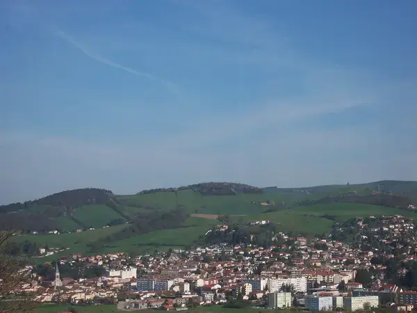 Monte Escalier Assistance Installateur Monte escalier La Talaudière