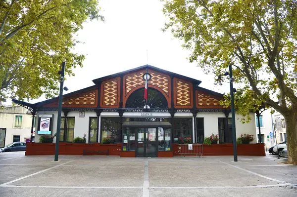 Monte Escalier Assistance Installateur Monte escalier Lansargues