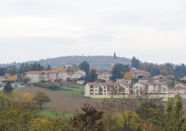 Monte Escalier Assistance Installateur Monte escalier Lentilly