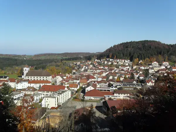 Monte Escalier Assistance Installateur Monte escalier Maîche