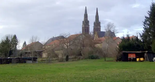 Monte Escalier Assistance Installateur Monte escalier Munster