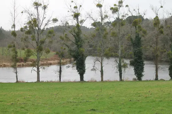 Monte Escalier Assistance Installateur Monte escalier Muzillac