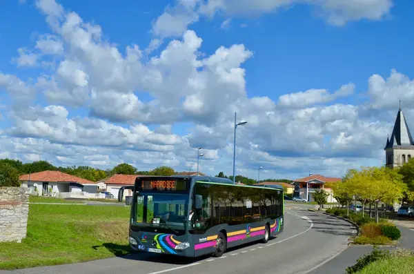 Monte Escalier Assistance Installateur Monte escalier Narrosse