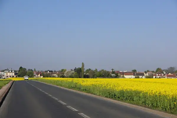 Monte Escalier Assistance Installateur Monte escalier Noiseau