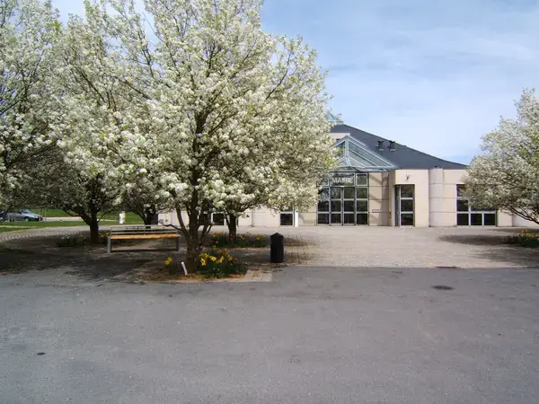 Monte Escalier Assistance Installateur Monte escalier Olemps