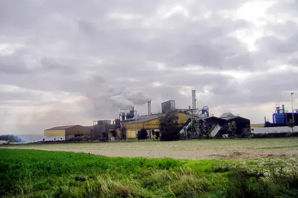 Monte Escalier Assistance Installateur Monte escalier Ormes