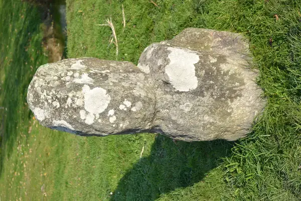 Monte Escalier Assistance Installateur Monte escalier Prinquiau