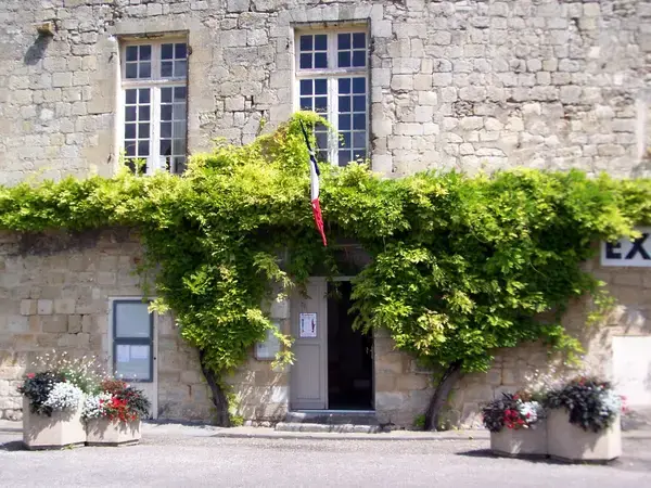 Monte Escalier Assistance Installateur Monte escalier Pujols