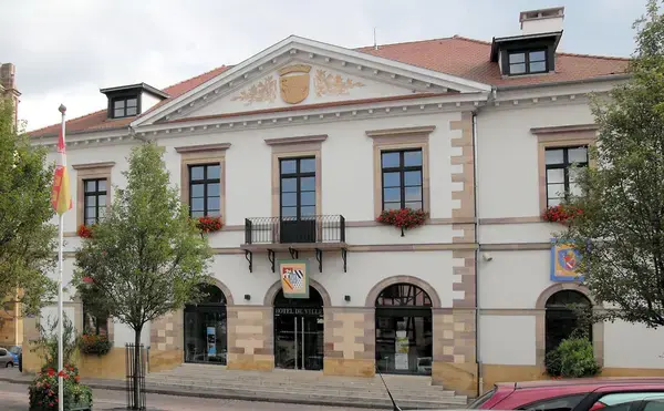 Monte Escalier Assistance Installateur Monte escalier Rouffach