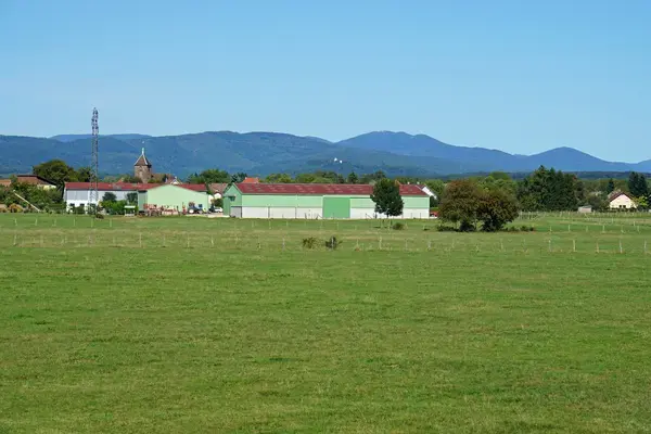 Monte Escalier Assistance Installateur Monte escalier Roye