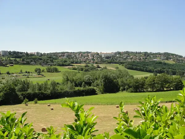 Monte Escalier Assistance Installateur Monte escalier Saint-Genest-Lerpt