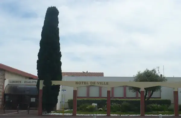 Monte Escalier Assistance Installateur Monte escalier Saleilles