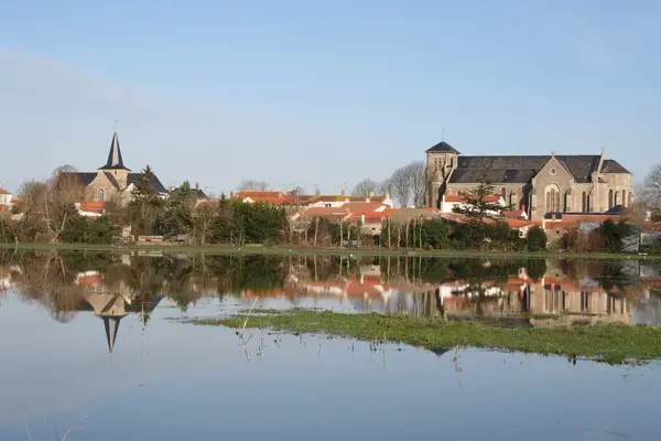 Monte Escalier Assistance Installateur Monte escalier Sallertaine