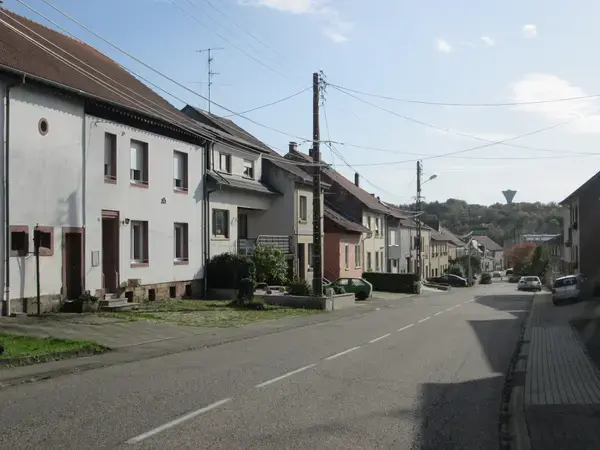 Monte Escalier Assistance Installateur Monte escalier Spicheren