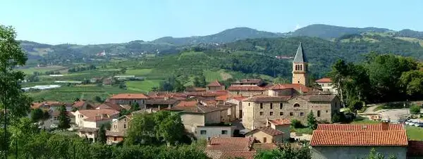 Monte Escalier Assistance Installateur Monte escalier Thurins