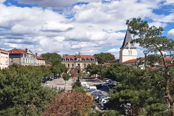 Monte Escalier Assistance Installateur Monte escalier Vénissieux