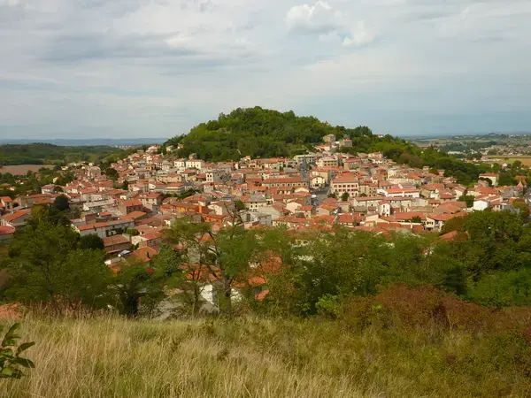 Monte Escalier Assistance Installateur Monte escalier Vertaizon