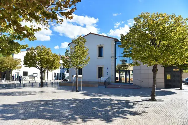 Monte Escalier Assistance Installateur Monte escalier Vic-la-Gardiole