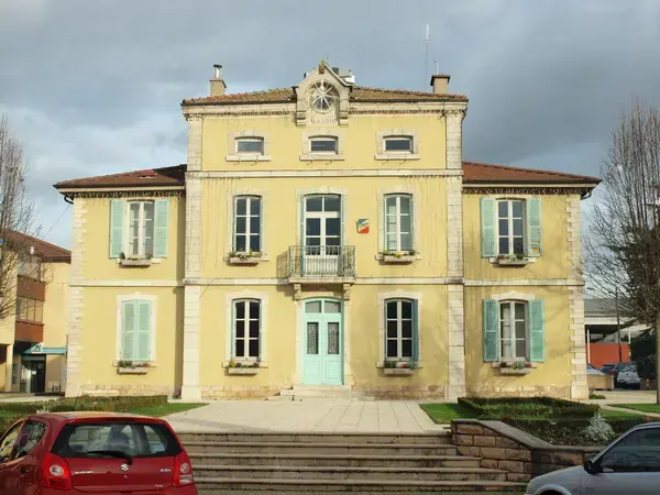Monte Escalier Assistance Installateur Monte escalier Viriat